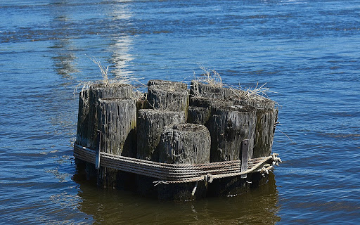 Event Venue «Burlington Memorial Auditorium», reviews and photos, 200 N Front St, Burlington, IA 52601, USA