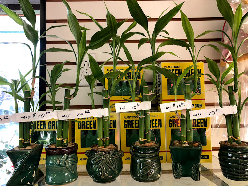 Florist «Gerties Flowers», reviews and photos, 806 Meacham Ave, Elmont, NY 11003, USA