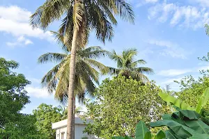 Pedda Cheruvu image