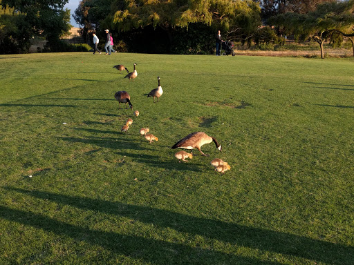 Recreation Center «Shoreline Lake Boathouse», reviews and photos, 3160 N Shoreline Blvd, Mountain View, CA 94043, USA