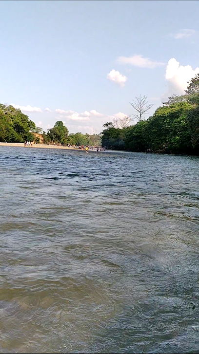 Río Taraza