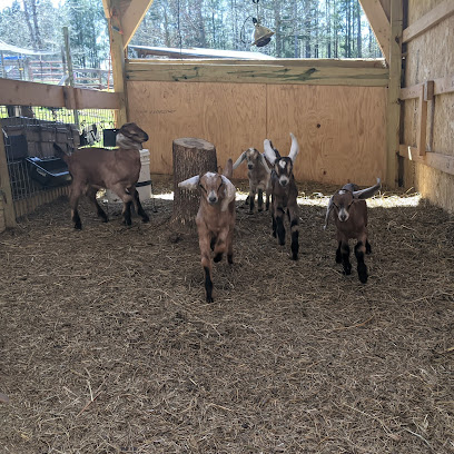 kidron Valley Goats