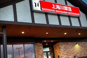 Shanghai Mandarin Restaurant image