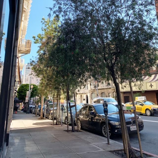 Hair Salon «Follicle Hair Salon», reviews and photos, Follicle Hair Salon, 798 Sutter St, San Francisco, CA 94109, USA