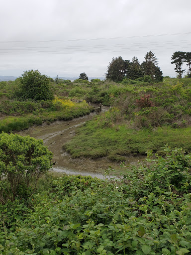 Bird Watching Area «Arcata Marsh Interpretive Center», reviews and photos, 569 S G St, Arcata, CA 95521, USA