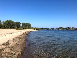 Presque Isle Erie Beach'in fotoğrafı geniş bir kıyı şeridi ile birlikte