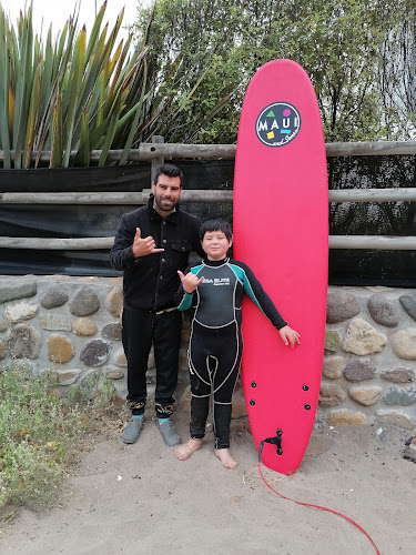 Horarios de Escuela de Surf Los Pinos Cachagua