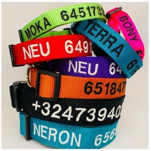 Pinpet Products S.L. en Paracuellos de Jarama, Madrid