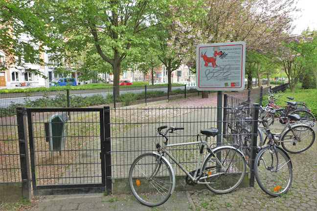 Hondenloopzone - Leuven