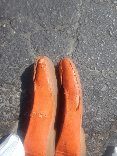 Thrift Store «Savers», reviews and photos