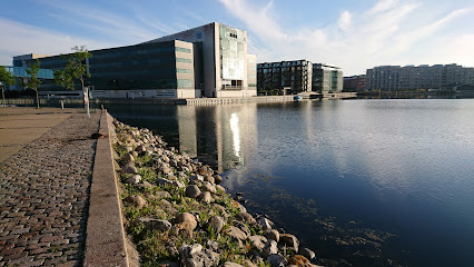 Aalborg Universitet København