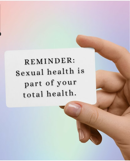 Adult Entertainment Store «Adult Video Warehouse», reviews and photos, 4500 N Powerline Rd, Pompano Beach, FL 33073, USA