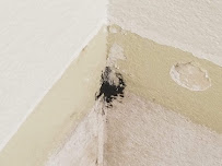 Moniquetec Restoration - Photo 9 - Car repair in , Stockton