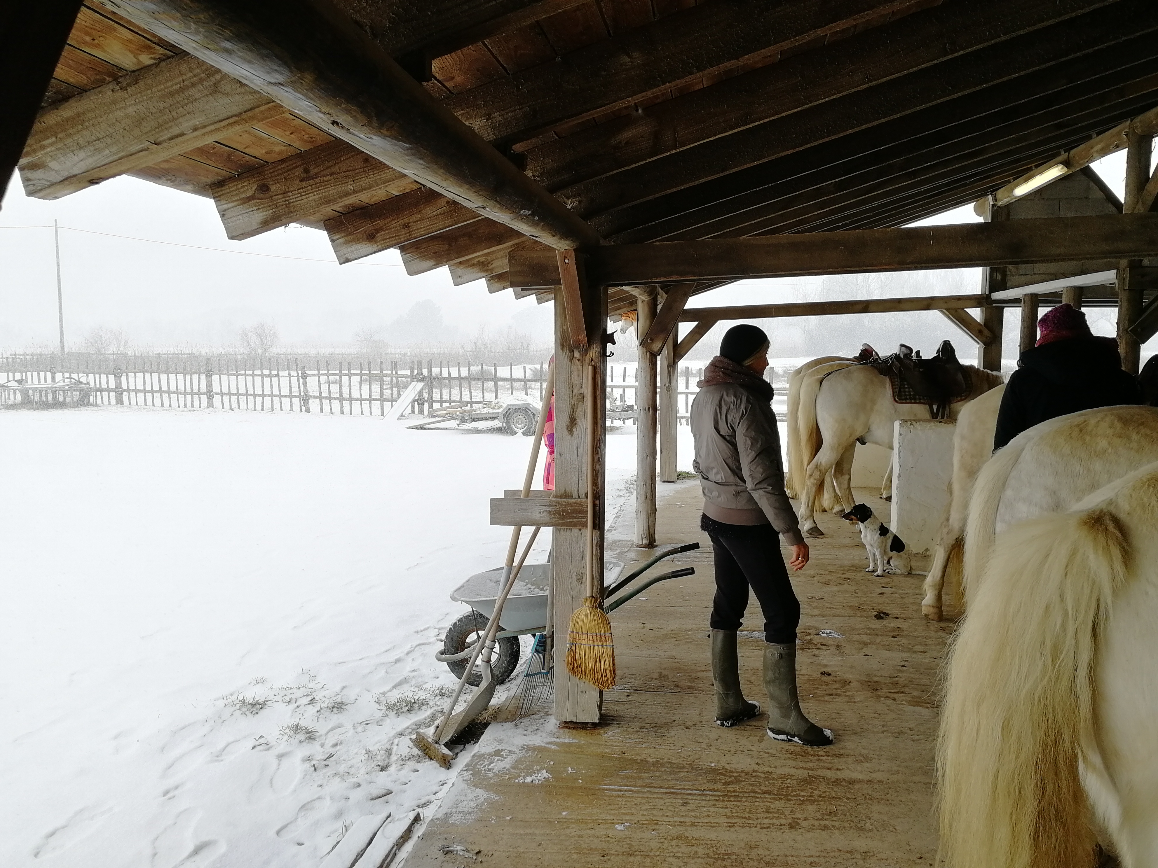 Photo n° 3 de l'avis de Gaetan.A fait le 01/03/2018 à 09:05