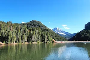 Tibble Fork image