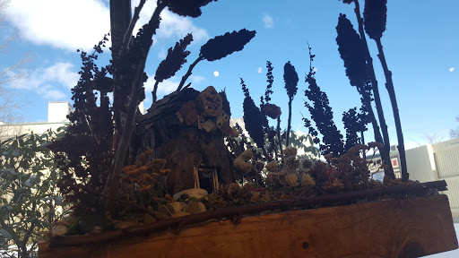 Art Museum «Worcester Art Museum», reviews and photos, 55 Salisbury St, Worcester, MA 01609, USA