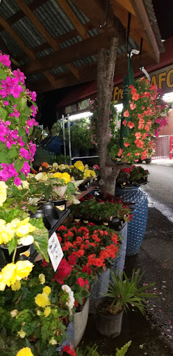 Produce Market «Tacoma Boys», reviews and photos, 5602 6th Ave, Tacoma, WA 98406, USA