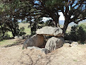 Dolmen de Taupels Trilla