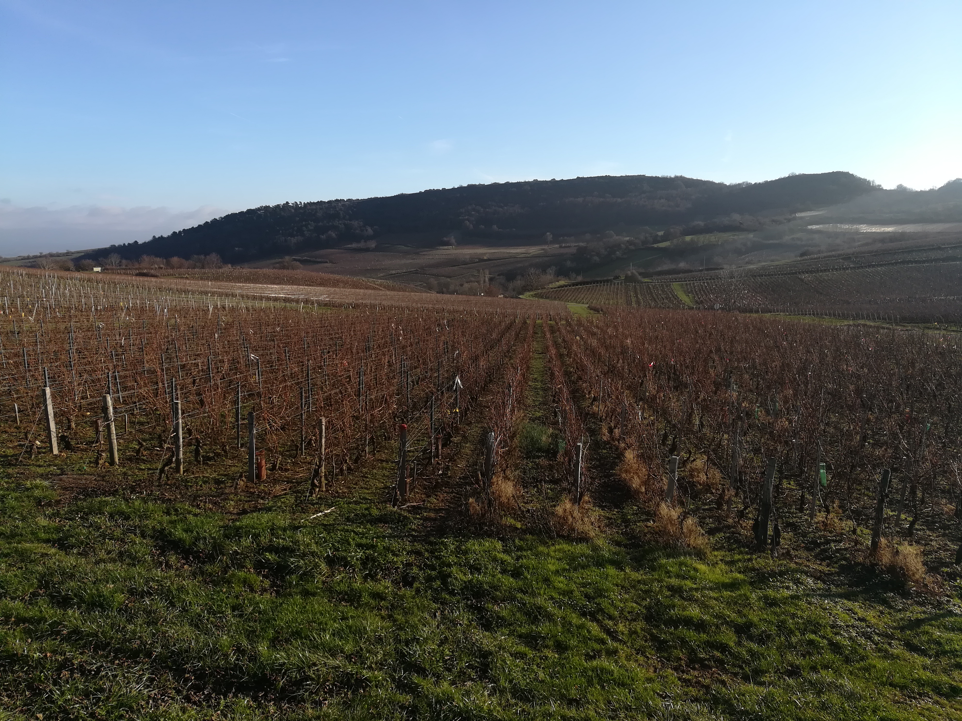 Photo n° 4 de l'avis de NTYMarco. fait le 30/12/2018 à 17:14