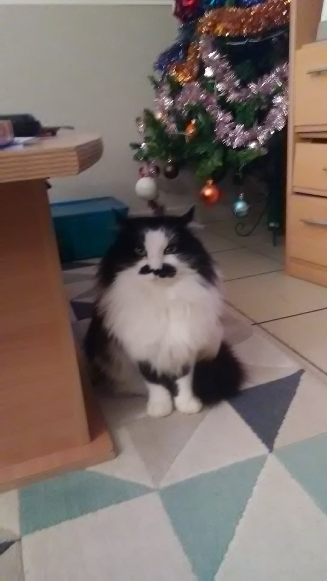 Photo n° 1 de l'avis de Shop.o fait le 29/12/2020 à 18:42