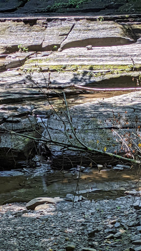 Nature Preserve «Sweedler and Thayer Preserves», reviews and photos, 10 Townline Rd, Ithaca, NY 14850, USA