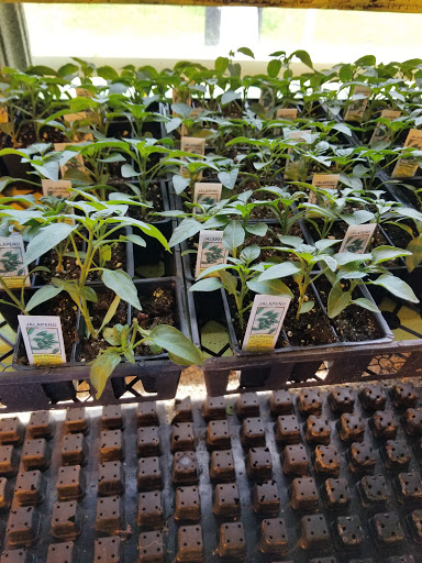 Florist «Lyndhurst Florist», reviews and photos, 5268 Mayfield Rd, Lyndhurst, OH 44124, USA