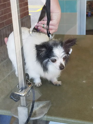 Pet Supply Store «Petco Animal Supplies», reviews and photos, 18578 Coastal Hwy #12, Rehoboth Beach, DE 19971, USA