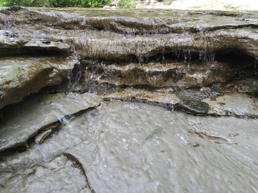 Park «Community Park - Shawnee Park», reviews and photos, 3380 Sherwood Dr, Plano, TX 75074, USA