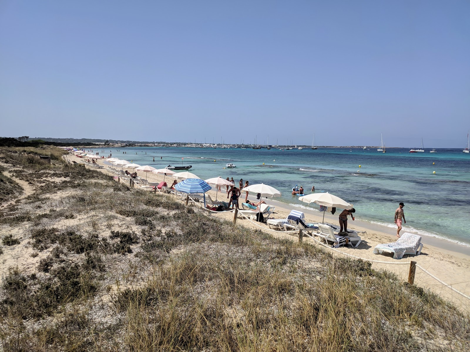 Foto di Playa Es Cavall d'En Borras con spiaggia spaziosa