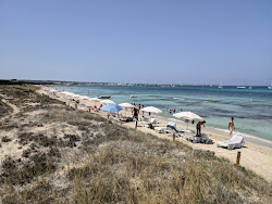 Foto von Playa Es Cavall d'En Borras mit sehr sauber Sauberkeitsgrad
