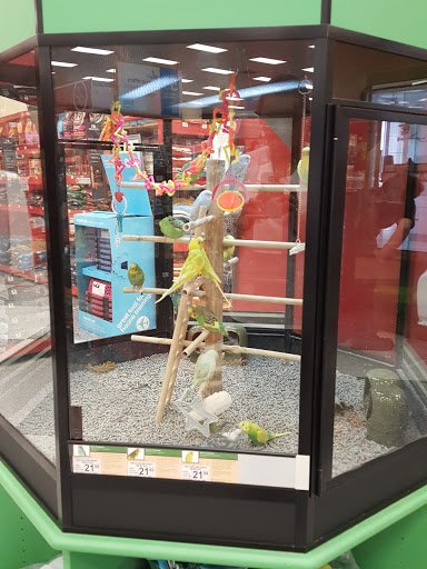 Pet Supply Store «Petco Animal Supplies», reviews and photos, 4209 Wheaton Way, Bremerton, WA 98310, USA