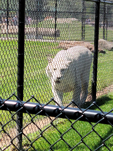 Zoo «The Wild Animal Park», reviews and photos, 7621 Lakeport Rd, Chittenango, NY 13037, USA