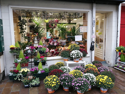 Aux fleurs d'Erika à Clermont