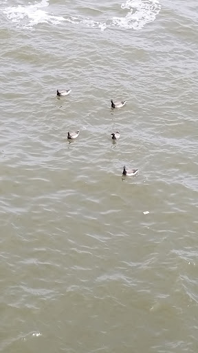 Park «Carl Schurz Park», reviews and photos, East 86th Street & East End Ave, New York, NY 10028, USA