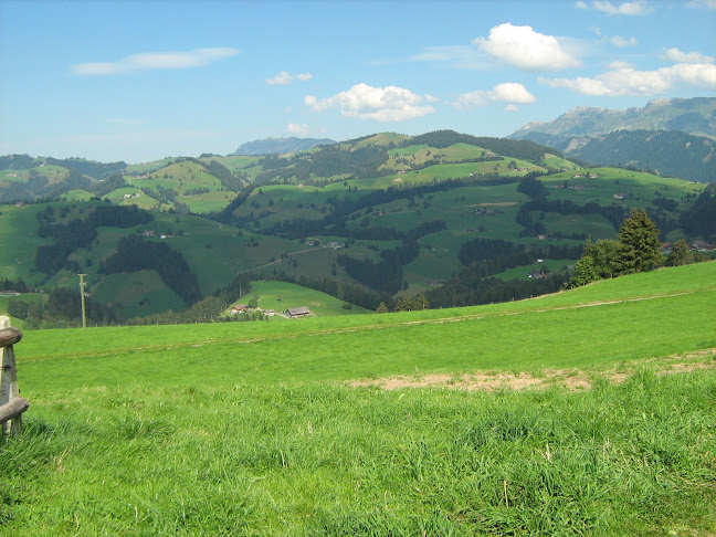 Kommentare und Rezensionen über Oberland Taxi Interlaken