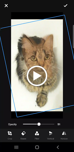 Find scorpion tattoo ideas for your next unique tattoo in Jamaica at Sons of ink