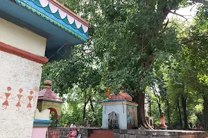 Pandhari Cha Mahadev image