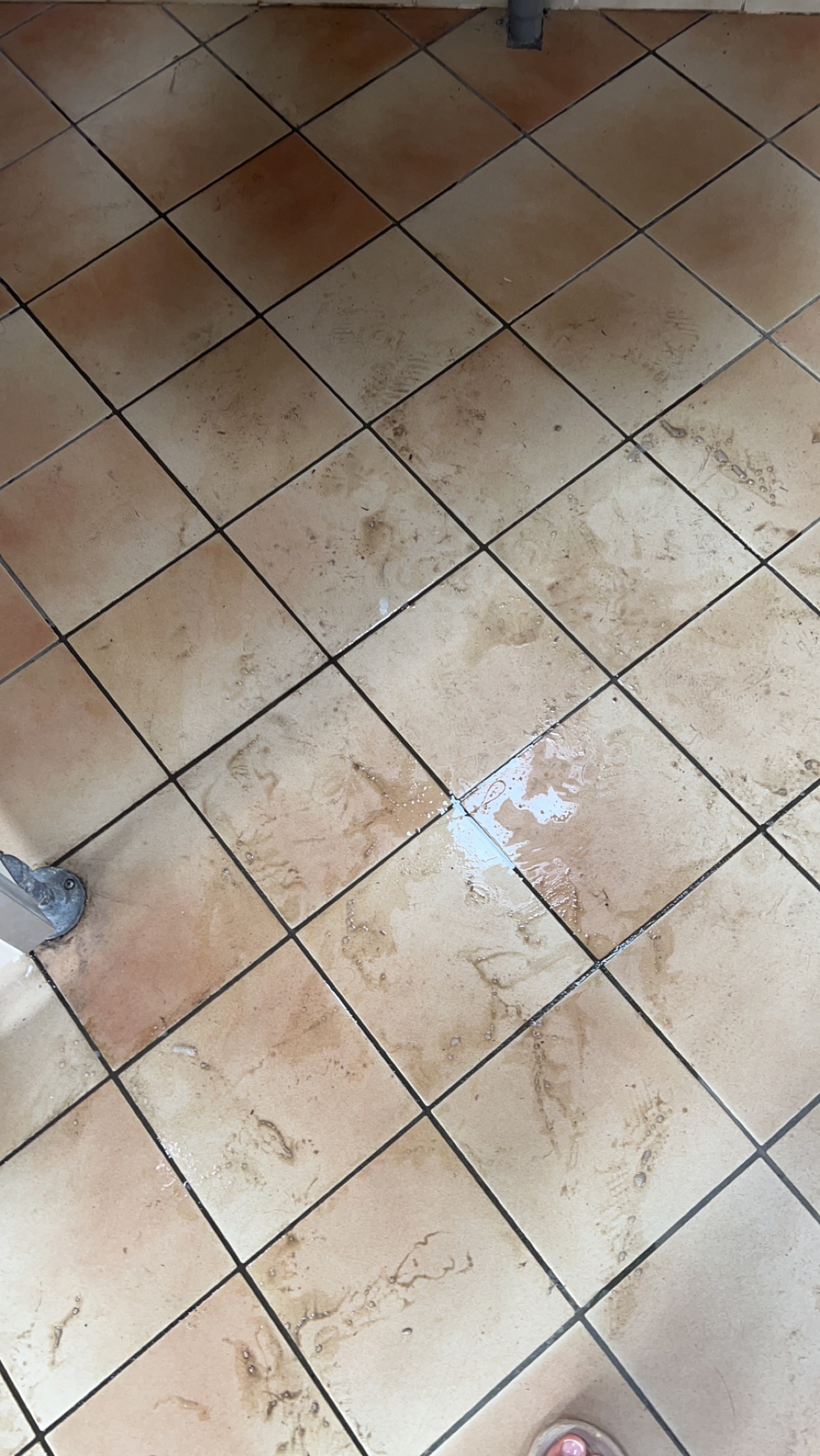 Photo n° 1 de l'avis de Amélia.m fait le 30/08/2023 à 09:41