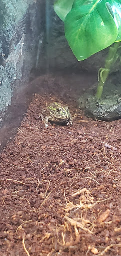 Pet Supply Store «Petco Animal Supplies», reviews and photos, 2621 MacArthur Rd, Whitehall, PA 18052, USA