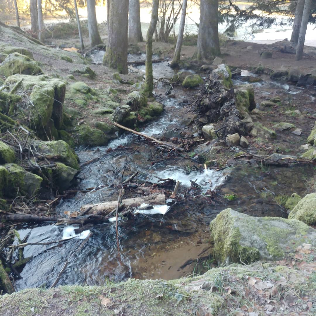 Photo n° 4 de l'avis de Peggy.e fait le 14/02/2019 à 09:36