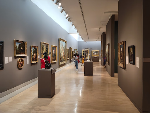 Art Museum «Dallas Museum of Art», reviews and photos, 1717 N Harwood St, Dallas, TX 75201, USA
