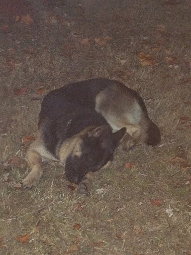 Campground «Defeated Creek Campground», reviews and photos, 140 Marina Ln, Defeated, TN 37030, USA