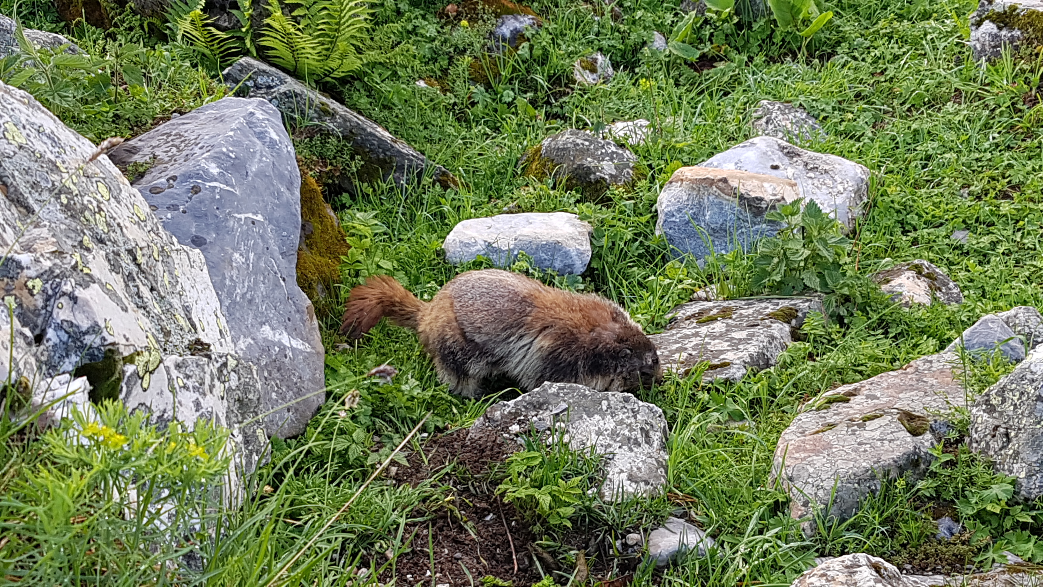 Photo n° 4 de l'avis de Jean-Christophe.h fait le 12/07/2021 à 06:11