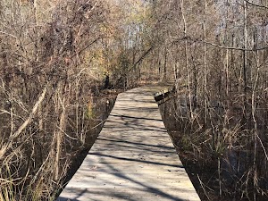 Black Bayou Observation Deck - photo 9