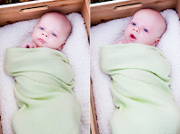 LissaSelena Photography - Photo 9 - Car repair in , Riverview