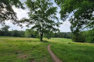 Lone Tree Hill image