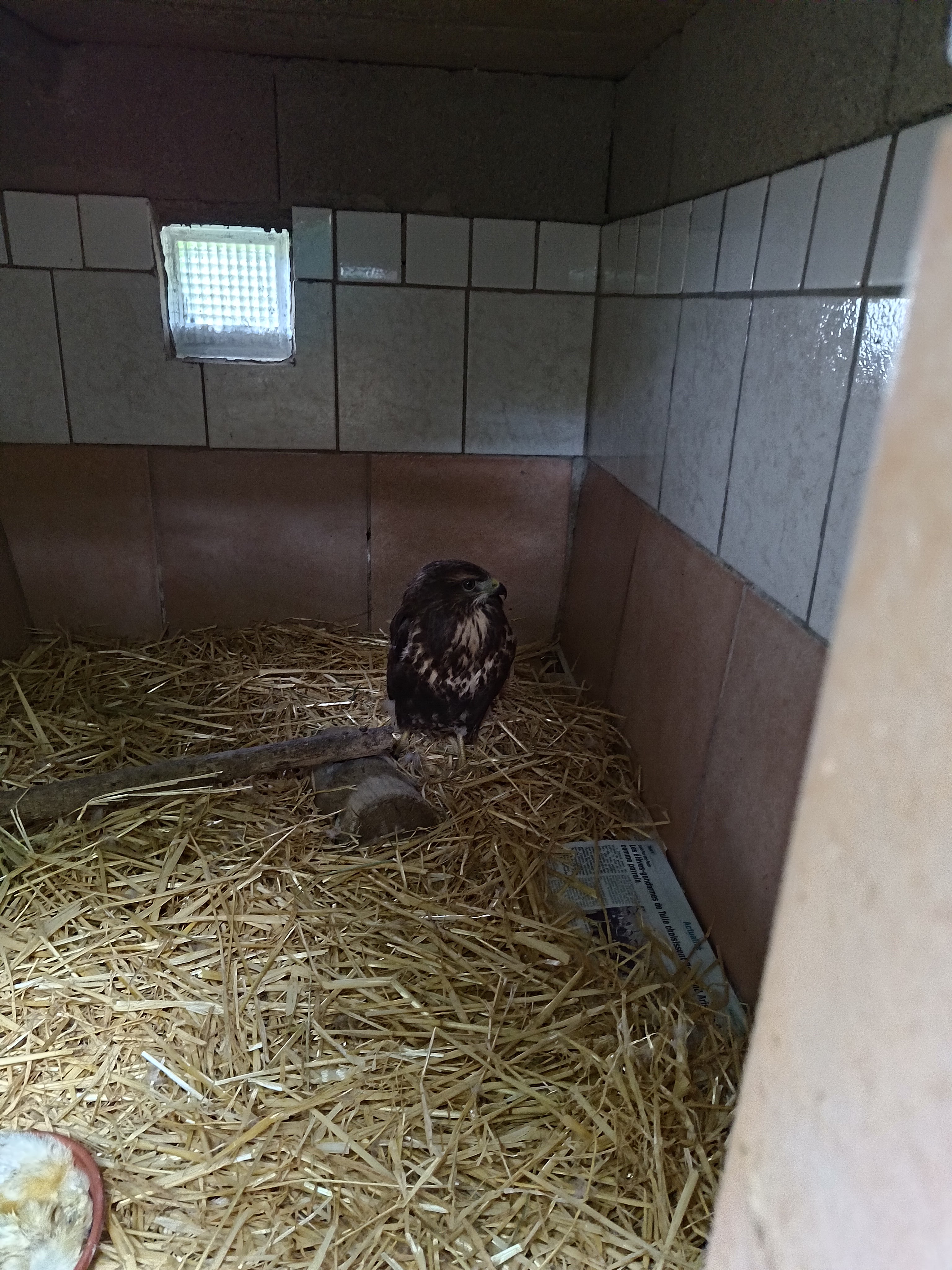 Photo n° 3 de l'avis de Narco.e fait le 15/07/2023 à 17:21