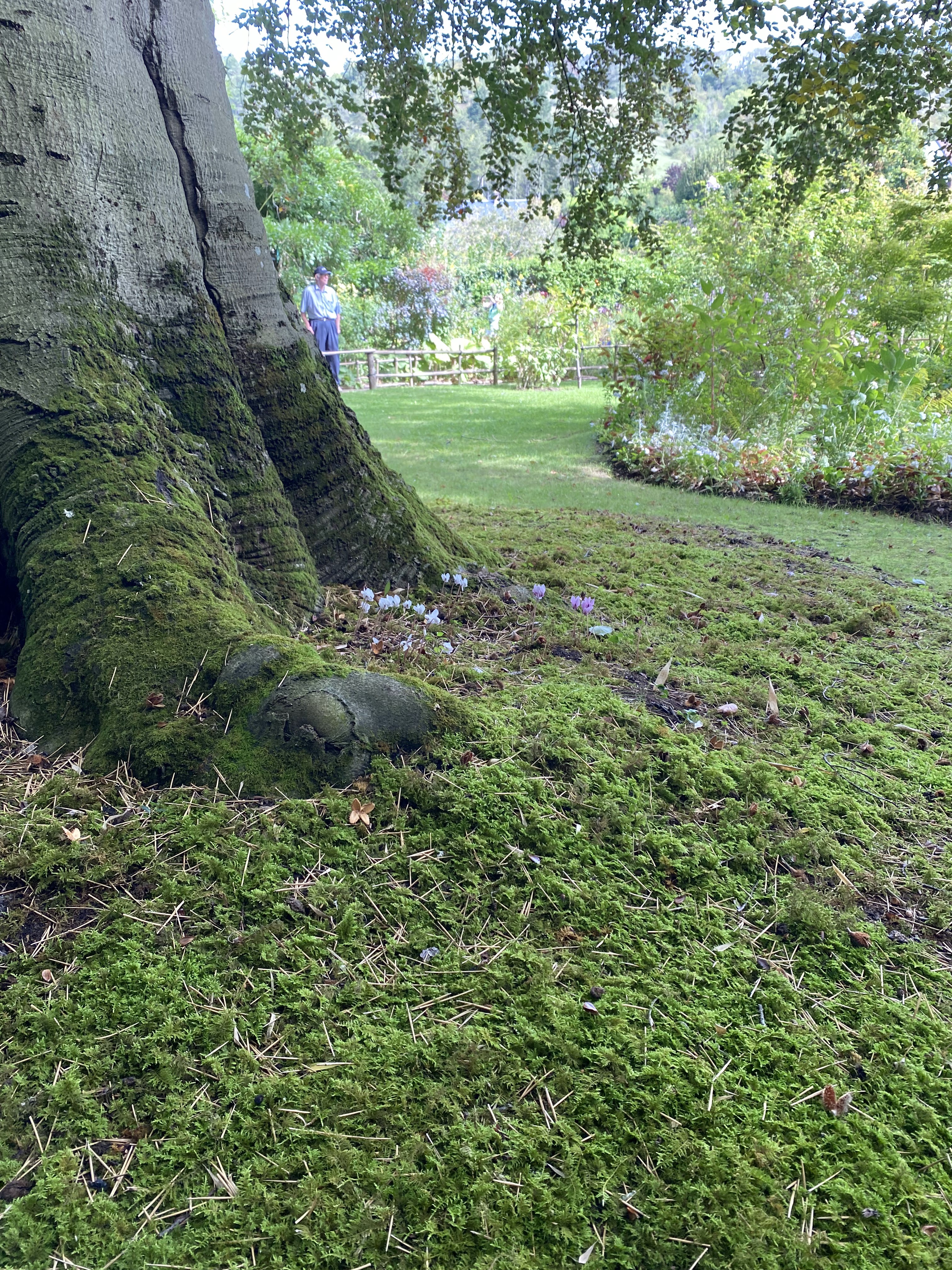 Photo n° 9 de l'avis de Farzad.a fait le 06/09/2023 à 08:16