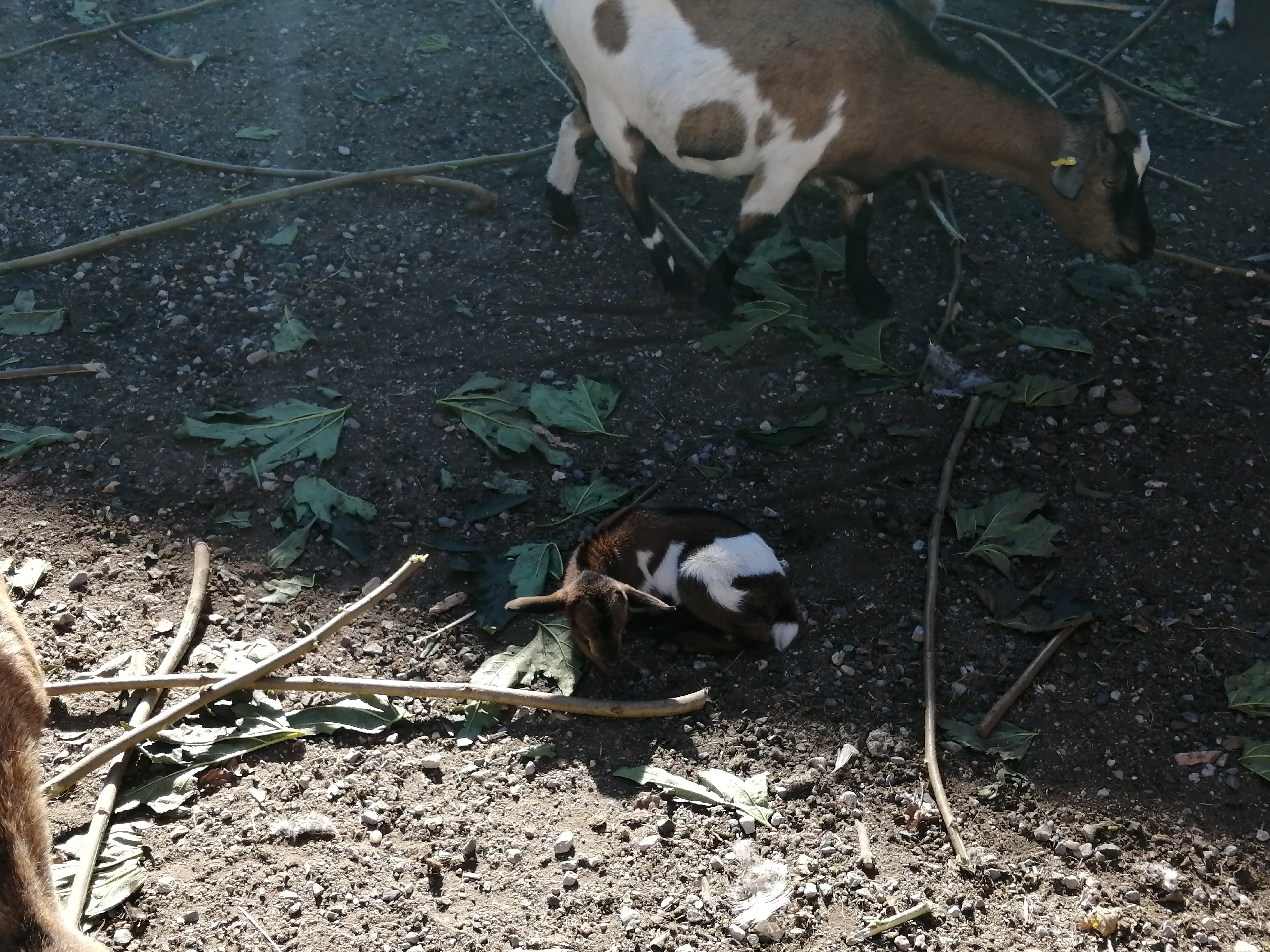 Photo n° 2 de l'avis de Mélissa.e fait le 31/10/2021 à 20:11