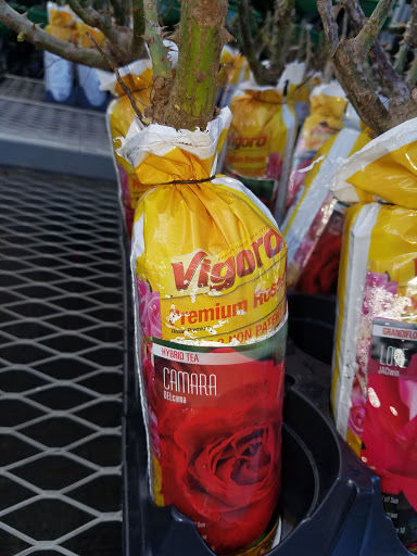 Home Improvement Store «The Home Depot», reviews and photos, 40 Park Pl Dr, Covington, LA 70433, USA